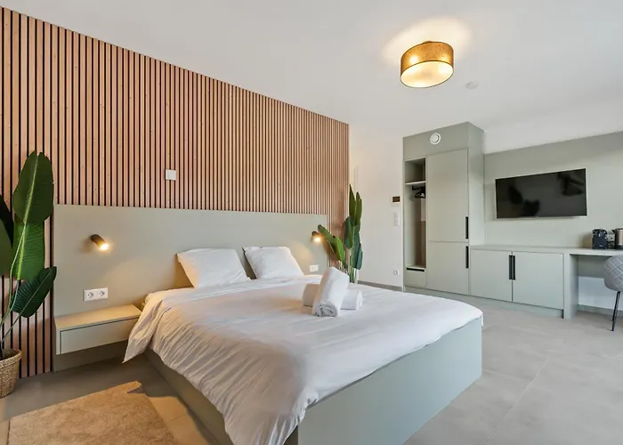 Comfort & Style In Vibrant Luxembourg Coliving